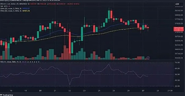 80%的BTC钱包都赚了，比特币真的进入新牛市了？-第6张图片-交易所
